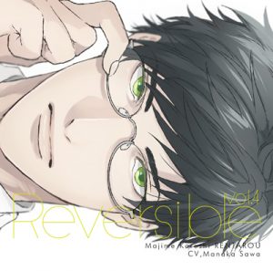reversible04